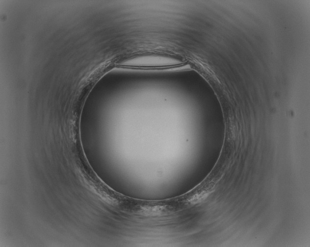 X0000065230450200603031717