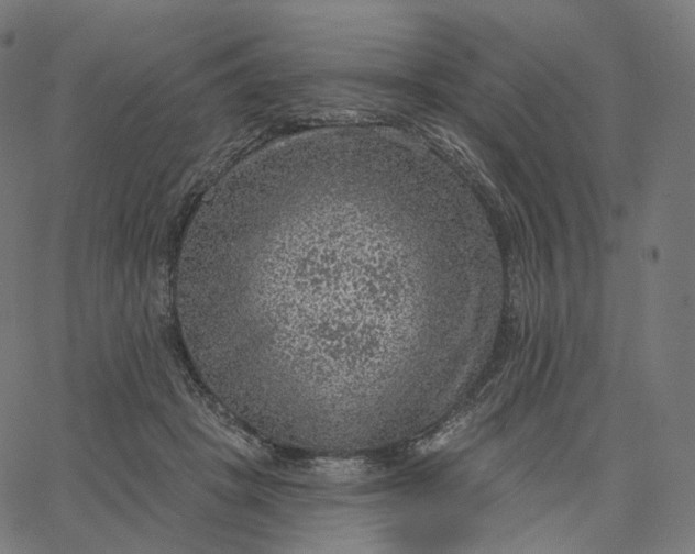 X0000065230457200603031717