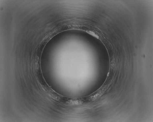X0000065230464200603031718