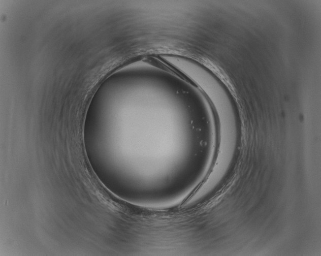 X0000065230481200603031717