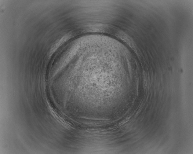 X0000065230482200603031717