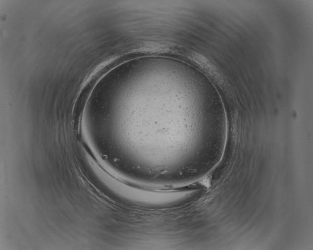 X0000065230484200603031717
