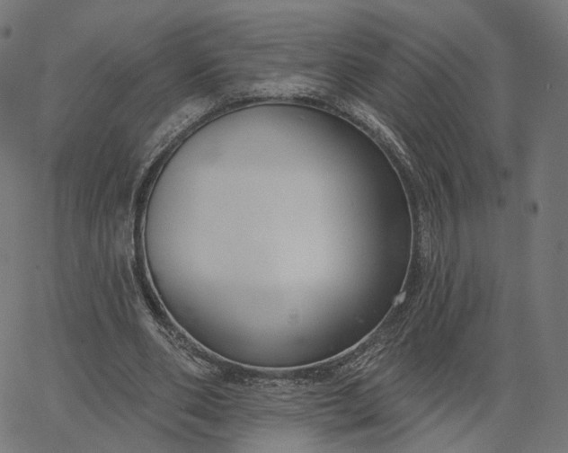 X0000065230486200603031717