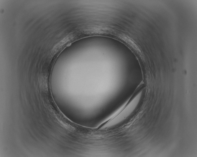 X0000065230489200603031717