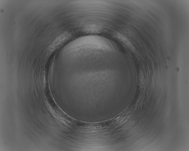 X0000065230494200603031717