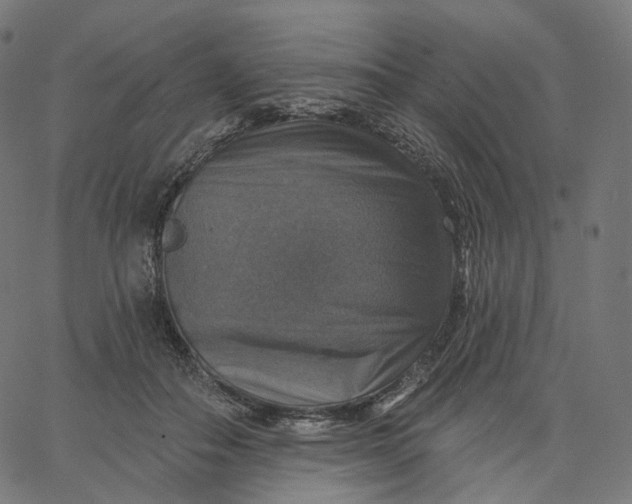 X0000065230506200603031717