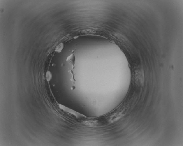 X0000065230508200603031717