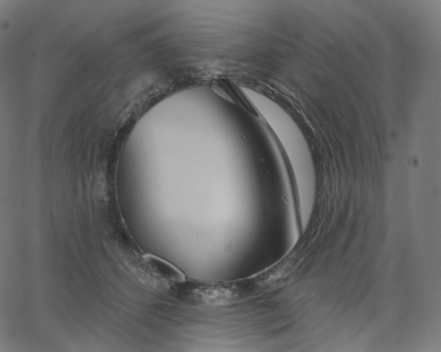 X0000065230512200603031717