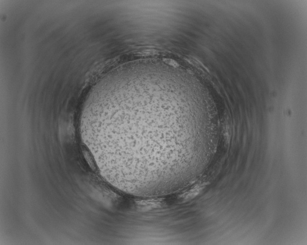 X0000065230516200603031716