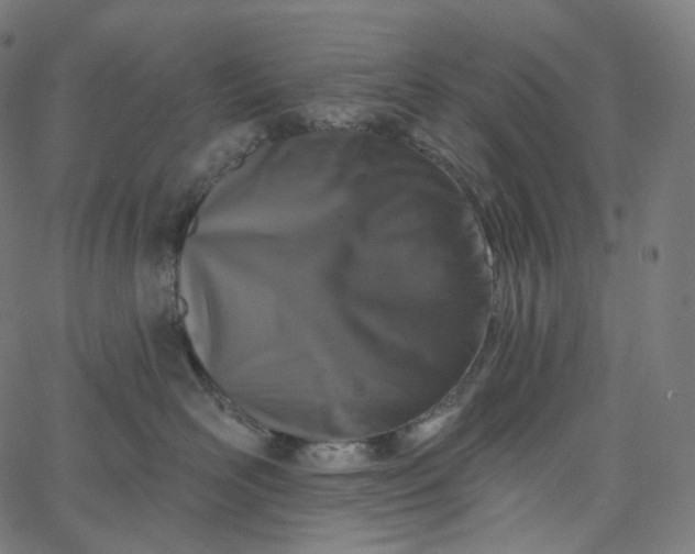 X0000065230526200603031716
