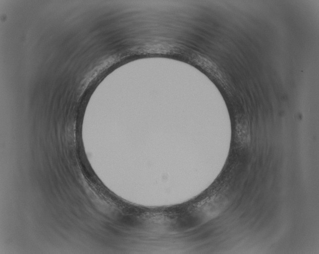 X0000065230534200603031716