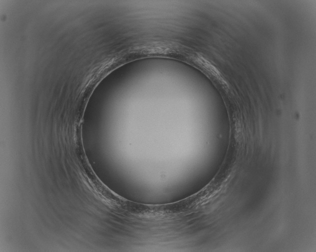 X0000065230537200603031716