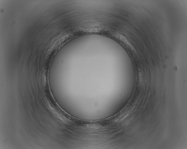 X0000065230541200603031716