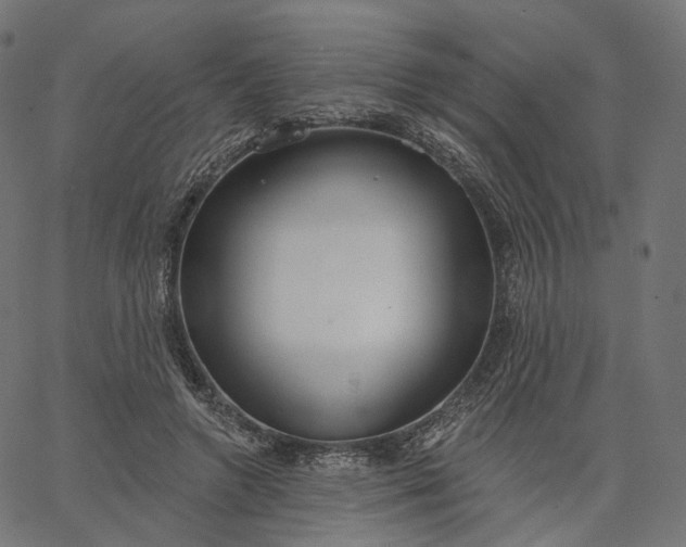 X0000065230546200603031716