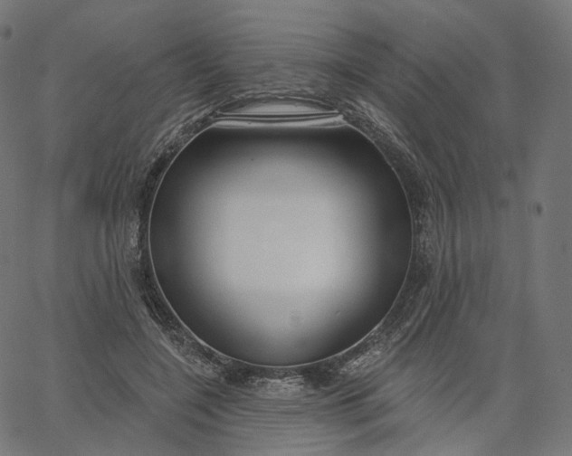 X0000065230548200603031716