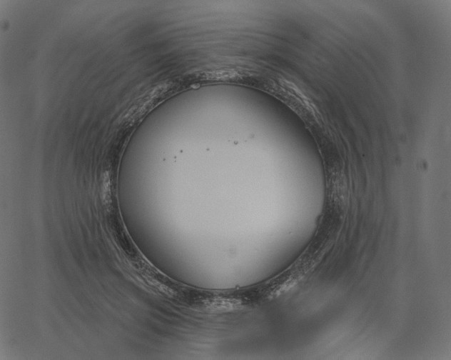 X0000065230549200603031716