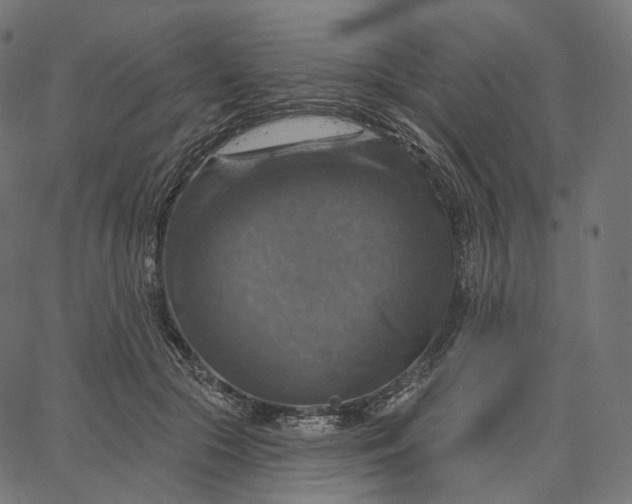 X0000065230553200603031716