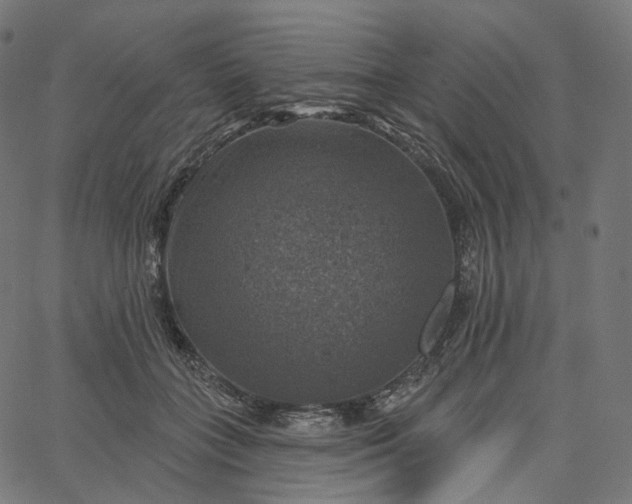 X0000065230555200603031716
