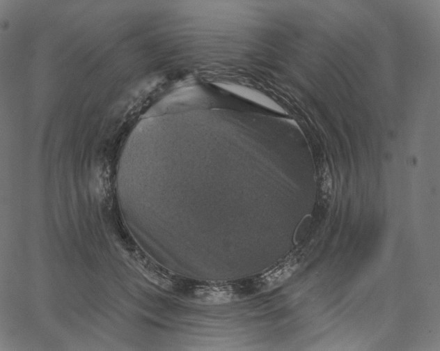 X0000065230559200603031716
