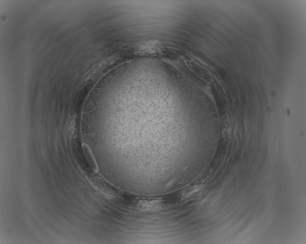 X0000065230560200603031716