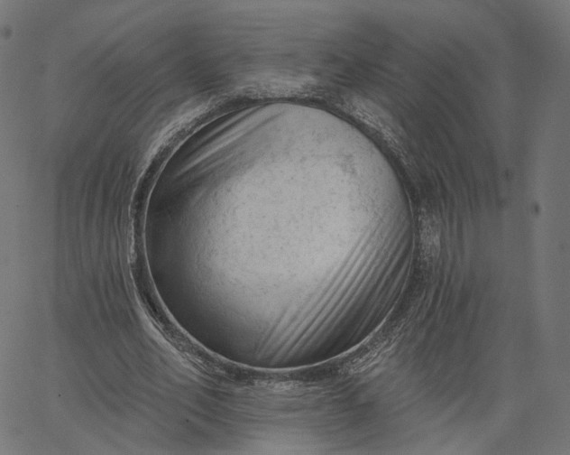 X0000065230582200603031715