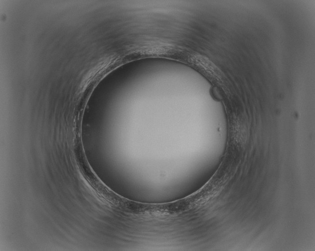 X0000065230586200603031715