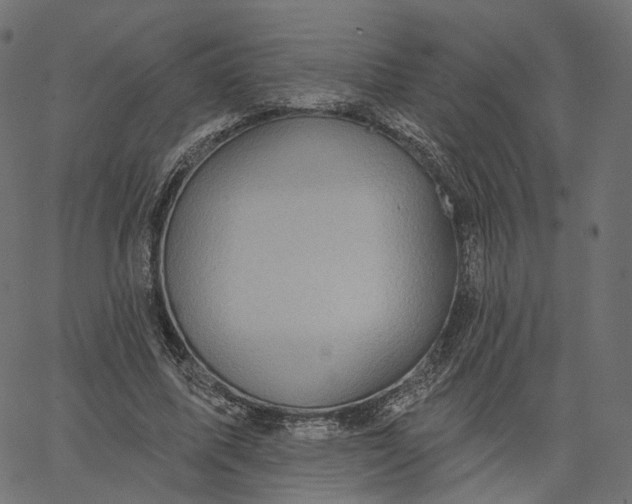 X0000065230587200603031715