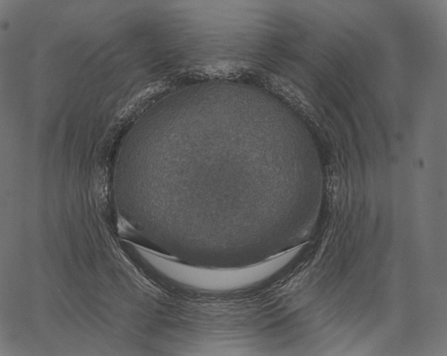 X0000065230593200603031715