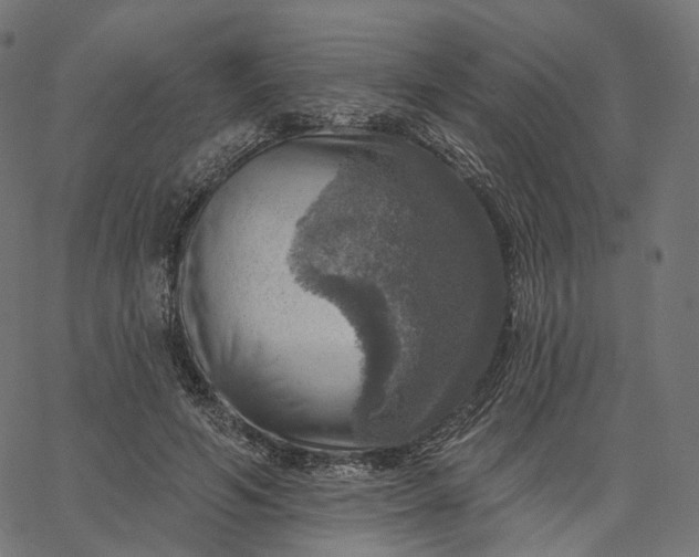 X0000065230594200603031715