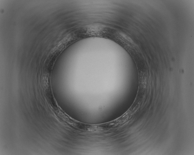 X0000065230603200603031715