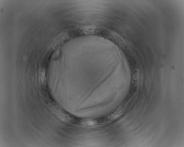 X0000065230610200603031715