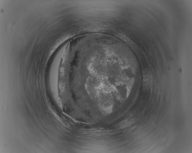X0000065230626200603031714