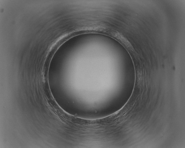 X0000065230628200603031714