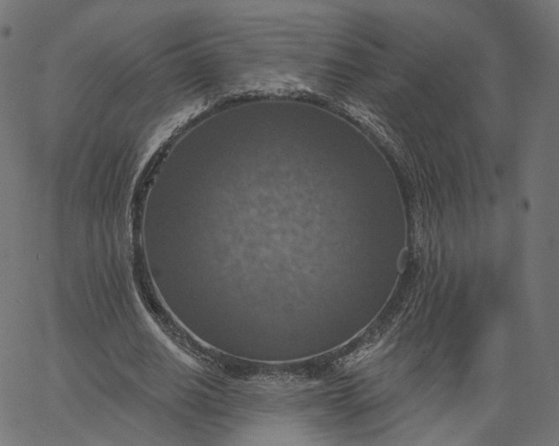X0000065230630200603031714