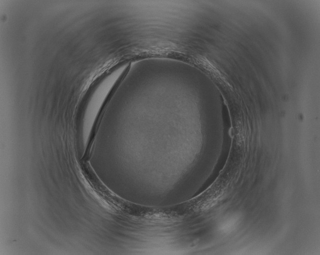 X0000065230634200603031714