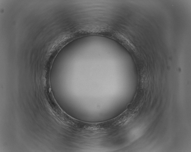 X0000065230635200603031714