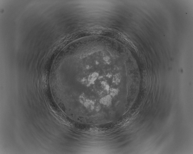 X0000065230641200603031714