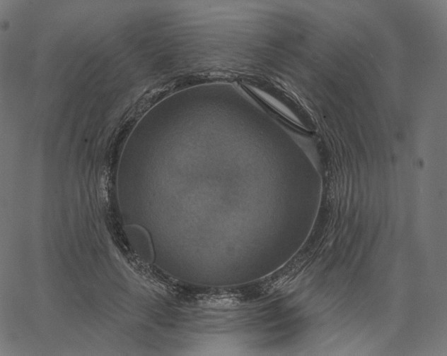 X0000065230643200603031714