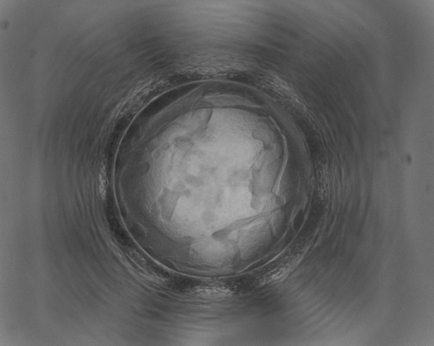 X0000065230644200603031714