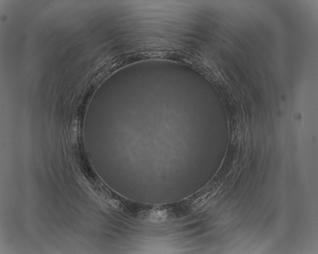 X0000065230647200603031714
