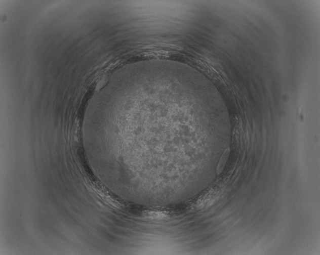X0000065230649200603031714