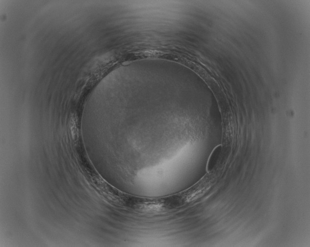 X0000065230651200603031714