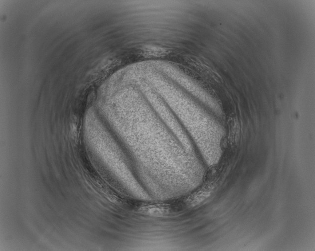 X0000065230655200603031714
