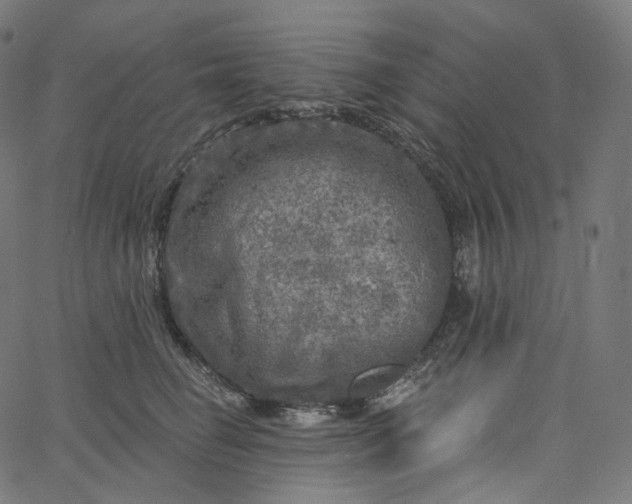 X0000065230662200603031714