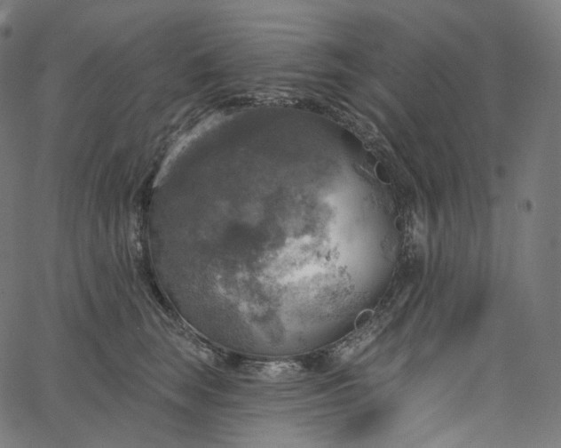 X0000065230663200603031715