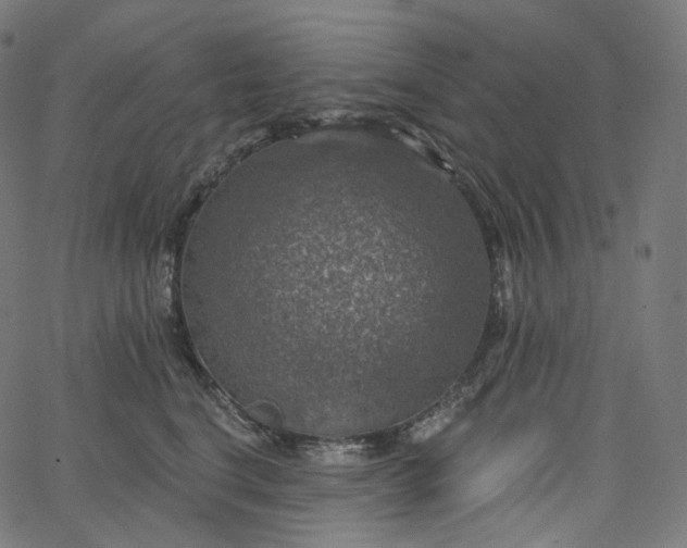 X0000065230664200603031715