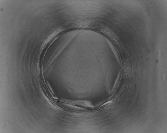 X0000065230674200603031714