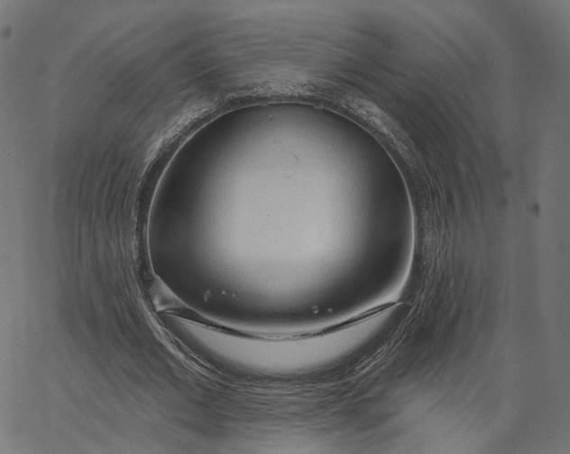 X0000065230677200603031714