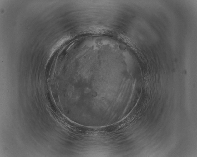 X0000065230679200603031714