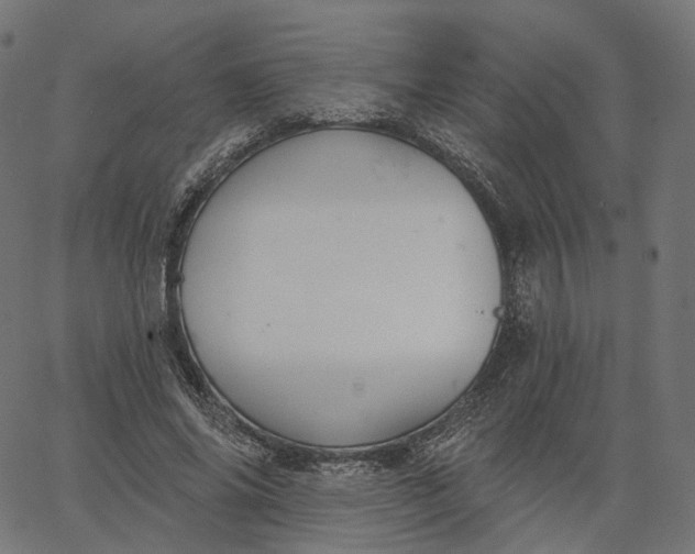 X0000065230686200603031714